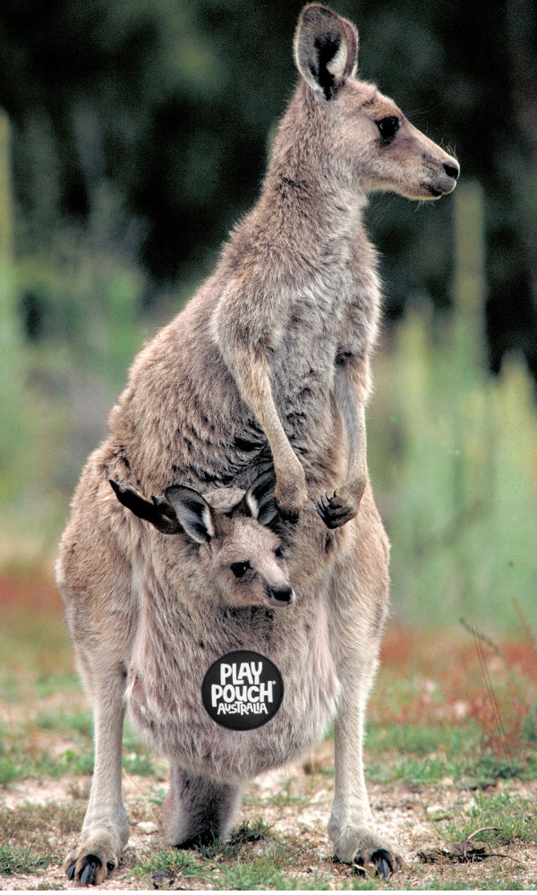 The Kangaroo and its pouch.